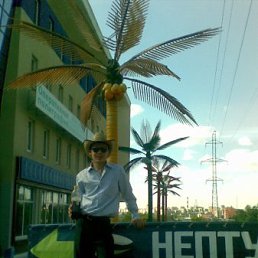 Александр, Киев