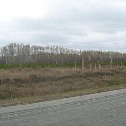 Лёшка, Москва