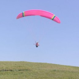 Макс, Алматы