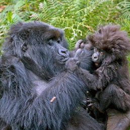 Andrey, Одесса