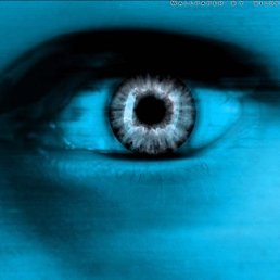 Вага, Москва