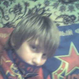 Муха, Санкт-Петербург