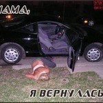 Анютик, Санкт-Петербург