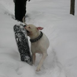 Милана, Москва