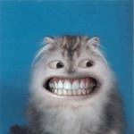 Миха, Москва