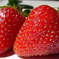 Даша, Москва