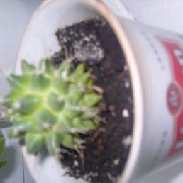 Роман, Киев