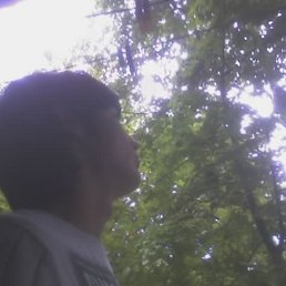 Сашечка, Санкт-Петербург