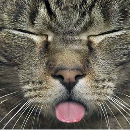 Катя, Лесосибирск