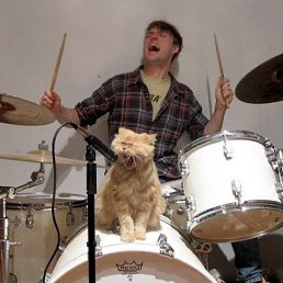 Софочка, Селидово