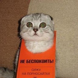 Павел, Киев