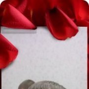 Антоха, Новосибирск