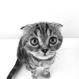 Александр, Менделеевск