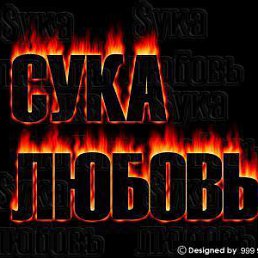 Torri, Винница