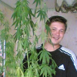 Жека, Москва