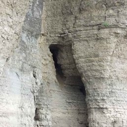 Still, Кузнецовск