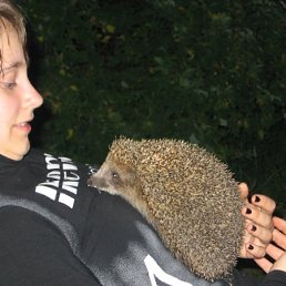 Наташа, Москва