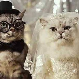 Саша, Псков