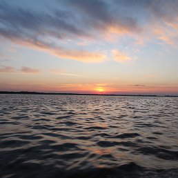 Олег, Черновцы