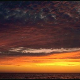 Евгеня, Томск