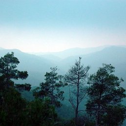 Слава, Москва