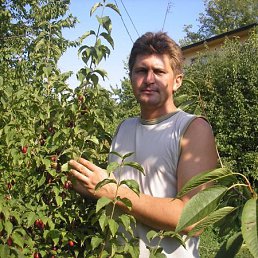 Борис, Москва