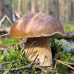 Наталья, Москва