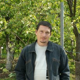 Кирилл, Киев