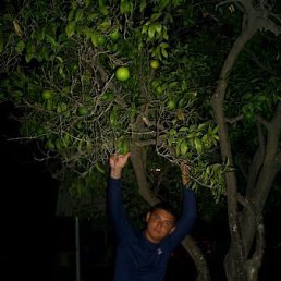 Колюня, Москва