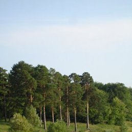 Яночка, Москва