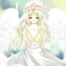 Богуш, Киев