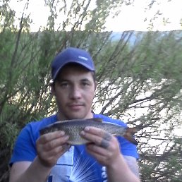 Тарас, Калуш