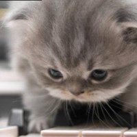 Zvezdiru, Москва